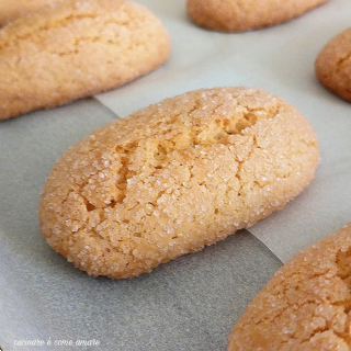 Galleta en primer plano